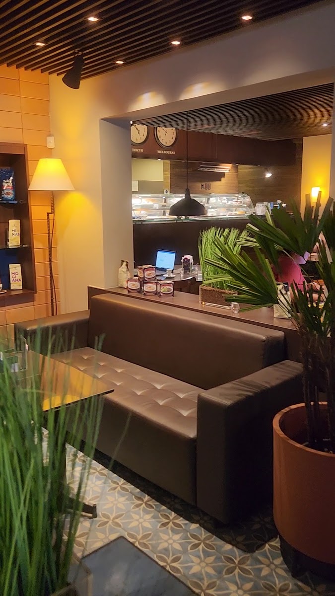 São Braz Coffee Shop - Setúbal-2